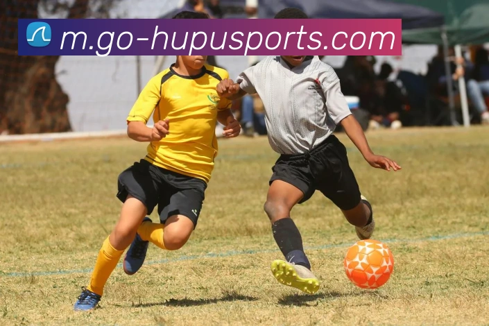 体育下注平台生态图