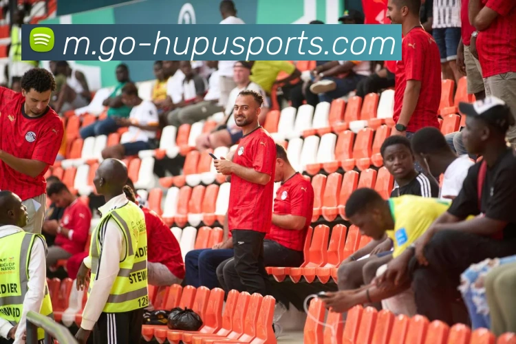 体育下注全站App